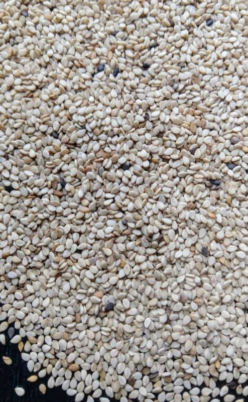 Sesame Seeds from Nigeria